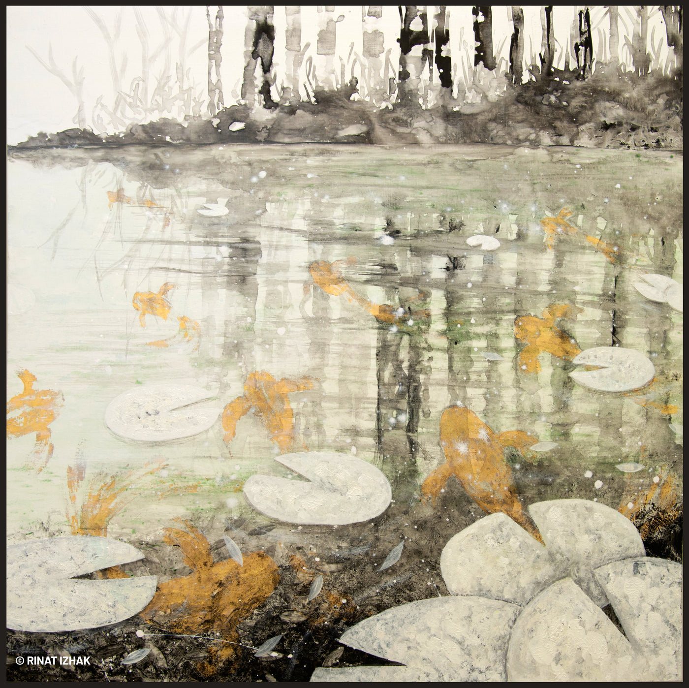 KOI #143